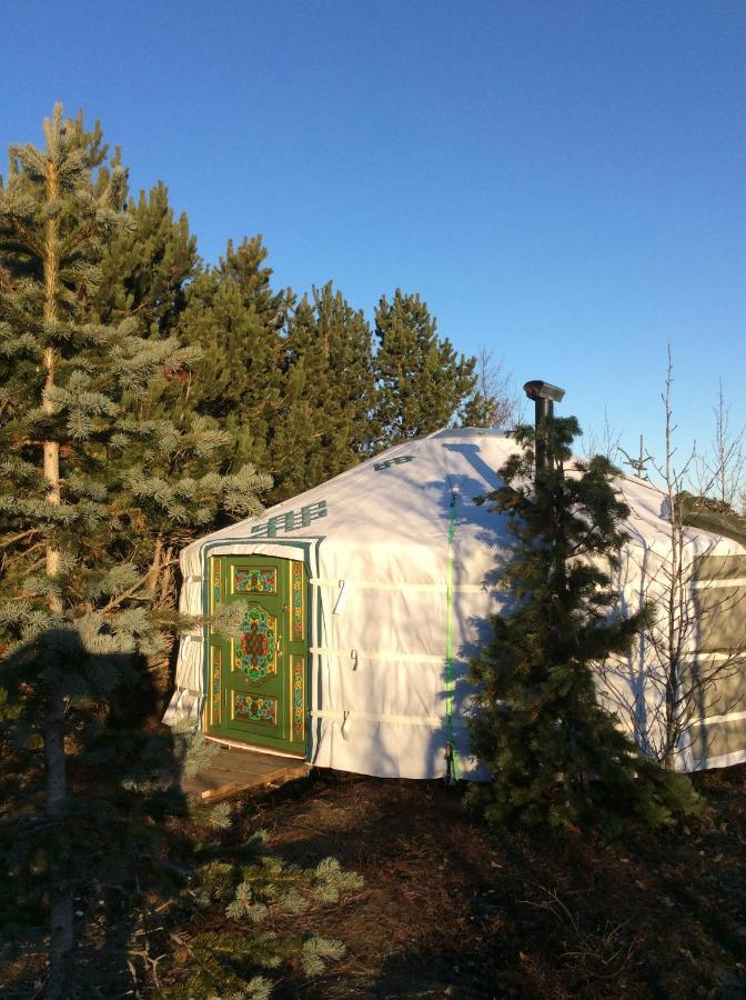 Valhalla Yurts Odin Selfoss Exterior photo